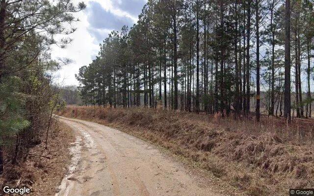 Decorative background for 2.02 Acres in Maxeys - Oglethorpe County, GA image 5