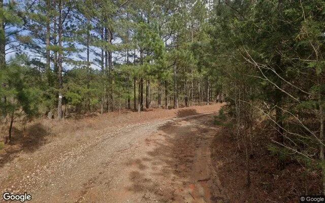 Decorative background for 2.02 Acres in Maxeys - Oglethorpe County, GA image 6