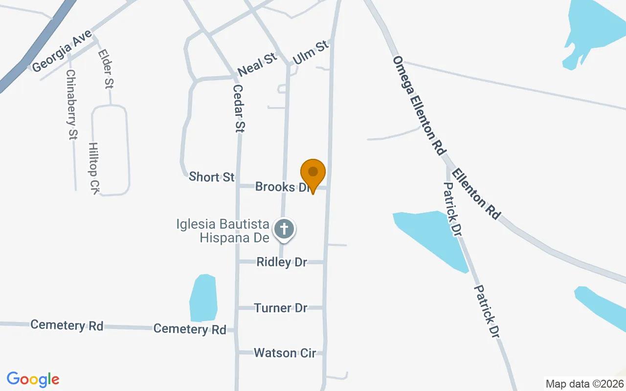 0.2 Acres in Omega - Tift County, GA - Image 2
