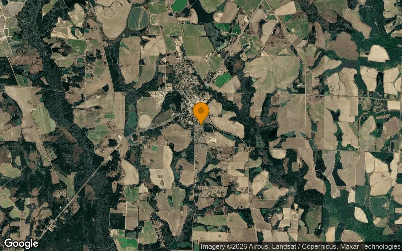 0.2 Acres in Omega - Tift County, GA - Image 3