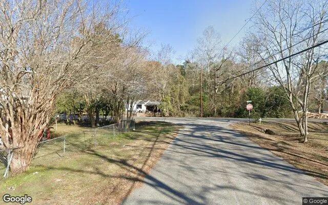 Decorative background for 0.2 Acres in Omega - Tift County, GA image 5