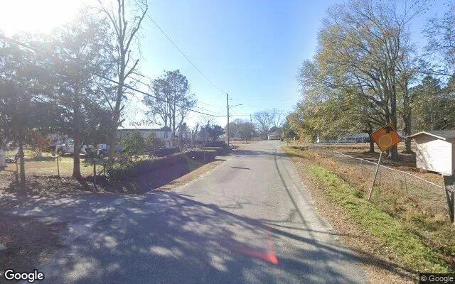 Decorative background for 0.2 Acres in Omega - Tift County, GA image 6