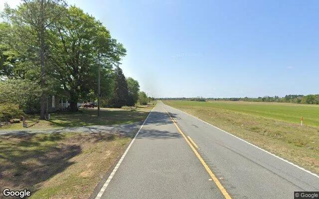 Decorative background for 35.26 Acres in Mauk - Taylor County, GA image 5
