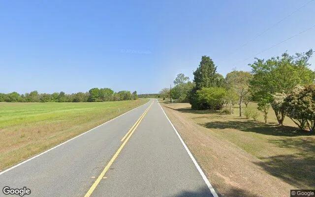 Decorative background for 35.26 Acres in Mauk - Taylor County, GA image 6