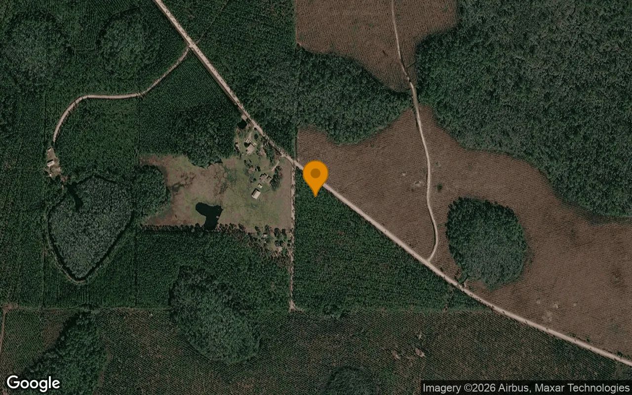 3.17 Acres in Fargo - Echols County, GA in Echols County, Georgia