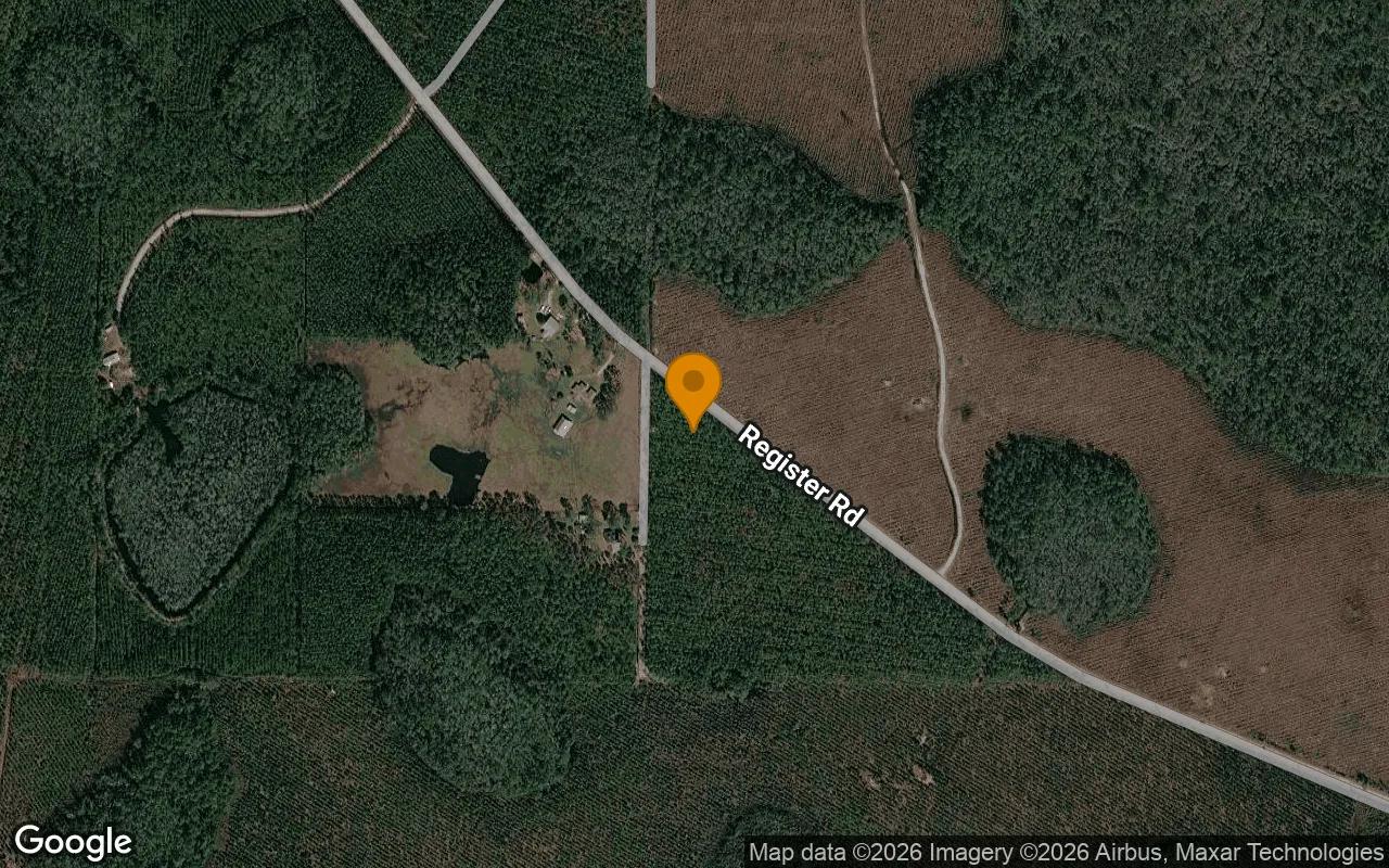 Decorative background for 3.17 Acres in Fargo - Echols County, GA image 6