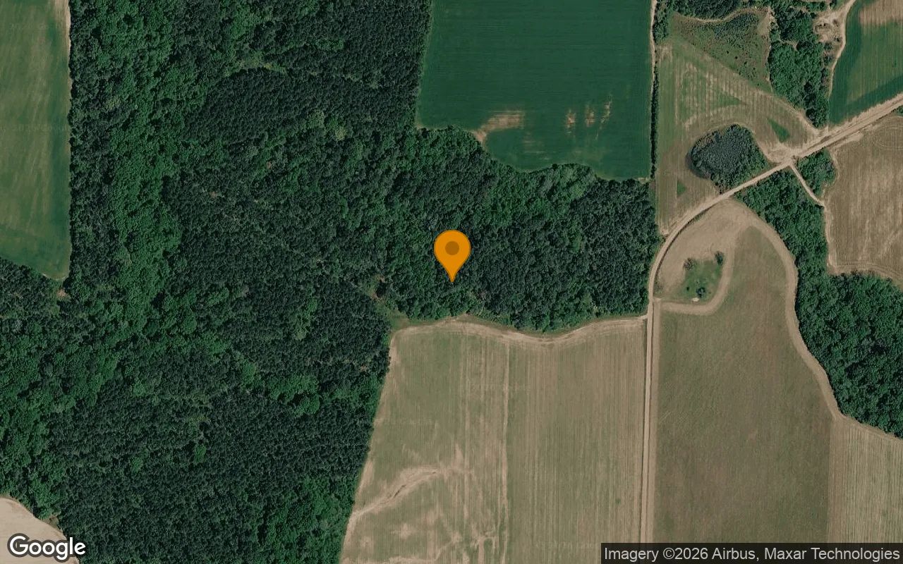 125.04 Acres in Byromville - Dooly County, GA in Dooly County, Georgia