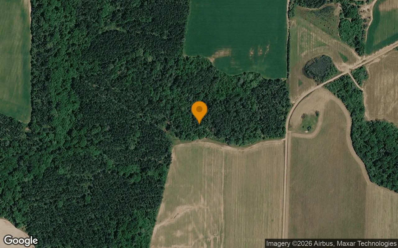 125.04 Acres in Byromville - Dooly County, GA - Main image