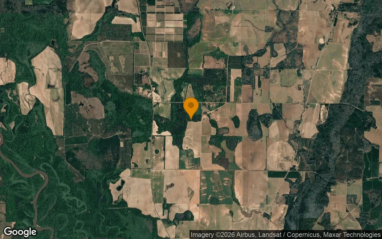 125.04 Acres in Byromville - Dooly County, GA in Dooly County, Georgia