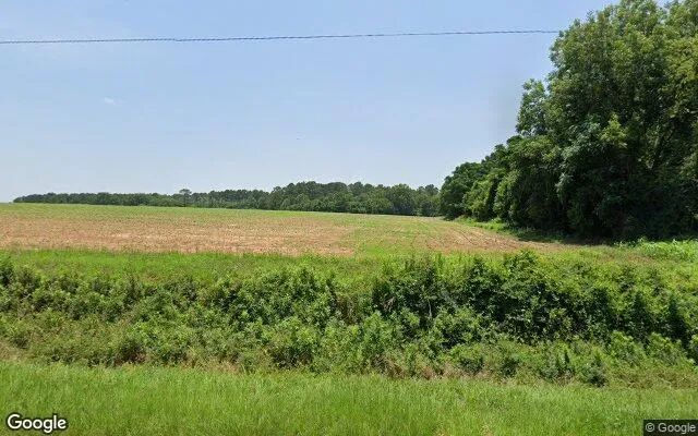 125.04 Acres in Byromville - Dooly County, GA in Dooly County, Georgia