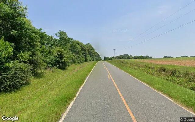 Decorative background for 125.04 Acres in Byromville - Dooly County, GA image 5