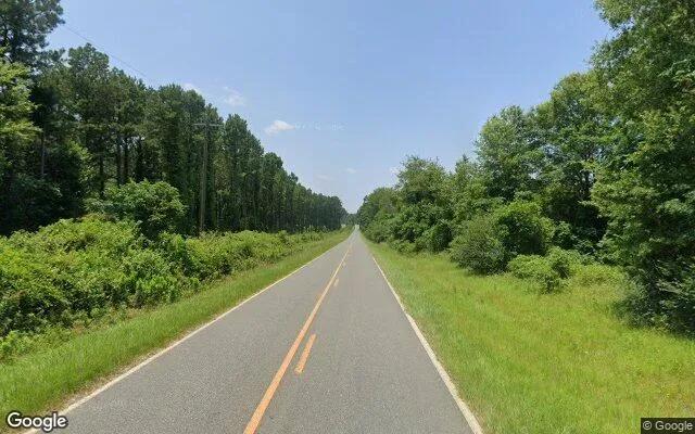 Decorative background for 125.04 Acres in Byromville - Dooly County, GA image 6