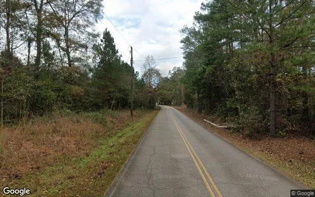Decorative background for 3.51 Acres in Pine Mountain - Meriwether County, GA image 5