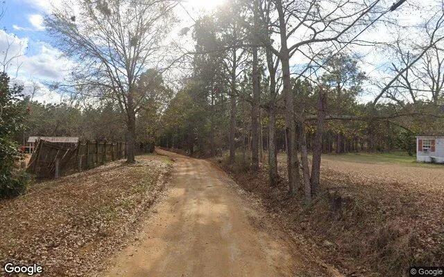 Decorative background for 1 Acres in Enigma - Berrien County, GA image 5