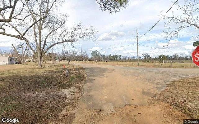 Decorative background for 1 Acres in Enigma - Berrien County, GA image 6