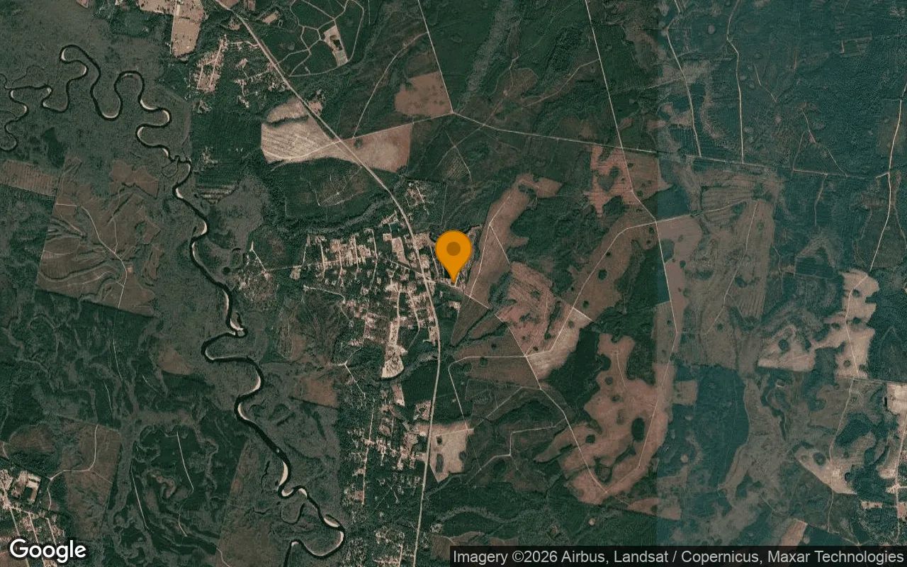 0.57 Acres in Hortense - Brantley County, GA in Brantley County, Georgia