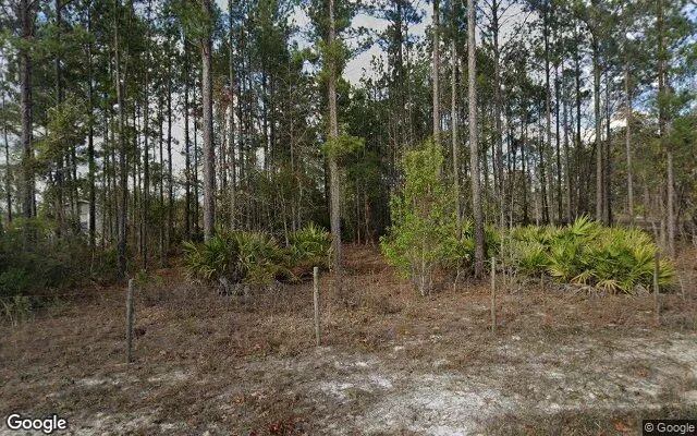 0.57 Acres in Hortense - Brantley County, GA in Brantley County, Georgia