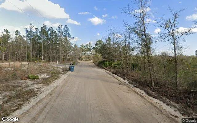 Decorative background for 0.57 Acres in Hortense - Brantley County, GA image 6