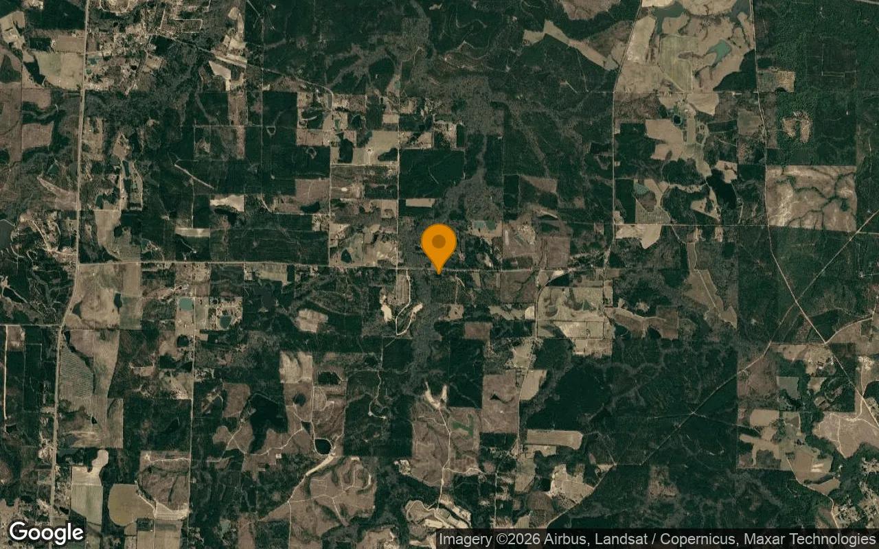 3.5 Acres in Fitzgerald - Ben Hill County, GA - Image 3