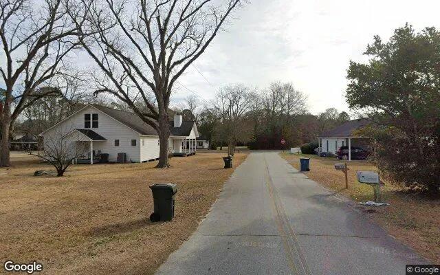 Decorative background for 0.23 Acres in Pulaski - Candler County, GA image 5