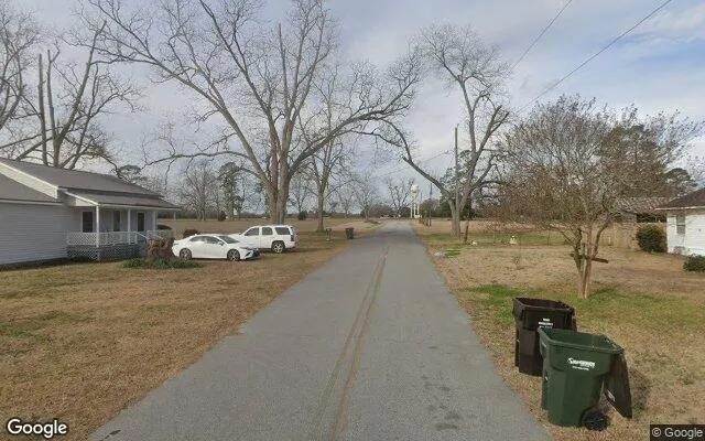 Decorative background for 0.23 Acres in Pulaski - Candler County, GA image 6