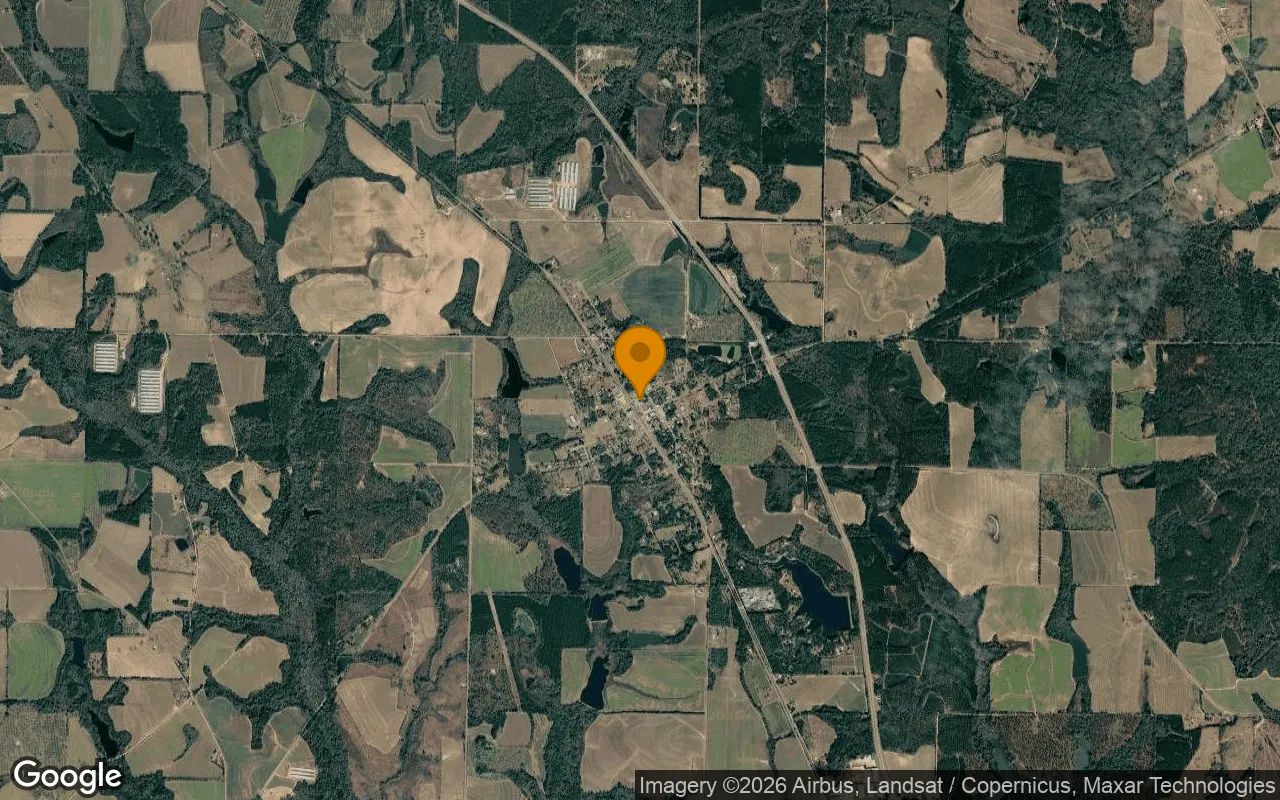 0.22 Acres in Meigs - Thomas County, GA in Thomas County, Georgia