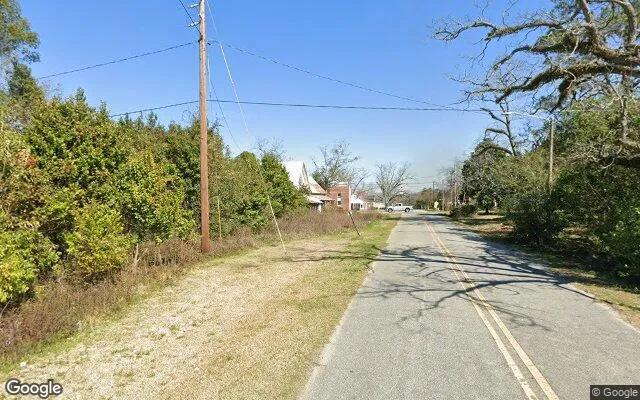Decorative background for 0.22 Acres in Meigs - Thomas County, GA image 5