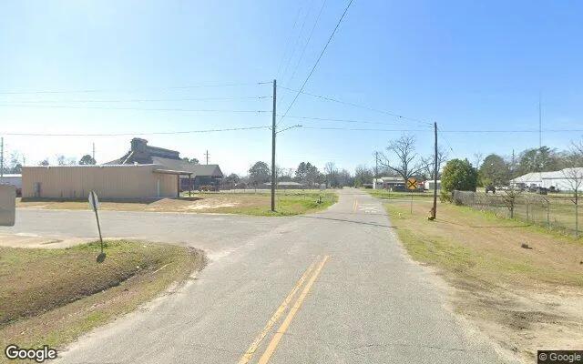 Decorative background for 0.22 Acres in Meigs - Thomas County, GA image 6