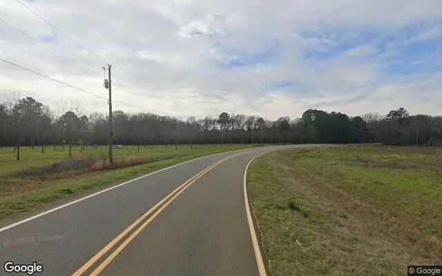 Decorative background for 1.5 Acres in Montezuma - Macon County, GA image 6