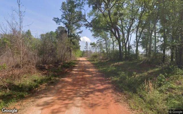 Decorative background for 14.77 Acres in Crawfordville - Taliaferro County, GA image 6