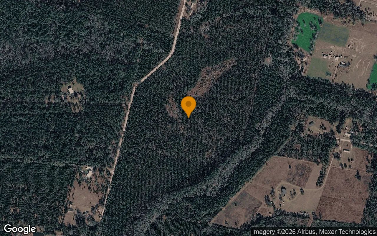 35.99 Acres in Folkston - Charlton County, GA in Charlton County, Georgia