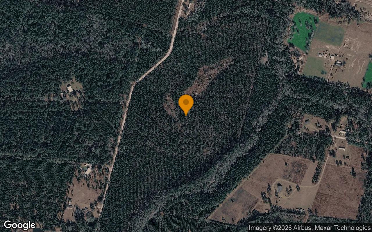 35.99 Acres in Folkston - Charlton County, GA - Main image