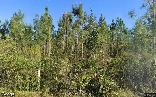 35.99 Acres in Folkston - Charlton County, GA in Charlton County, Georgia