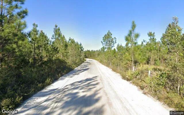 Decorative background for 35.99 Acres in Folkston - Charlton County, GA image 5