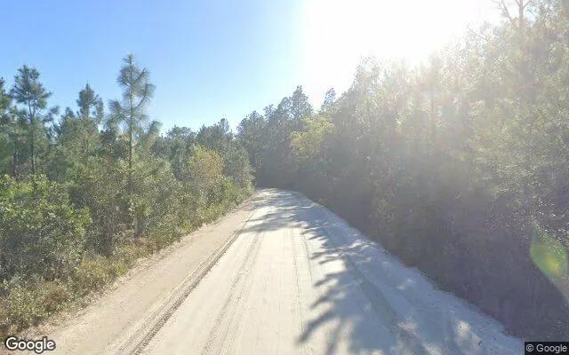 Decorative background for 35.99 Acres in Folkston - Charlton County, GA image 6
