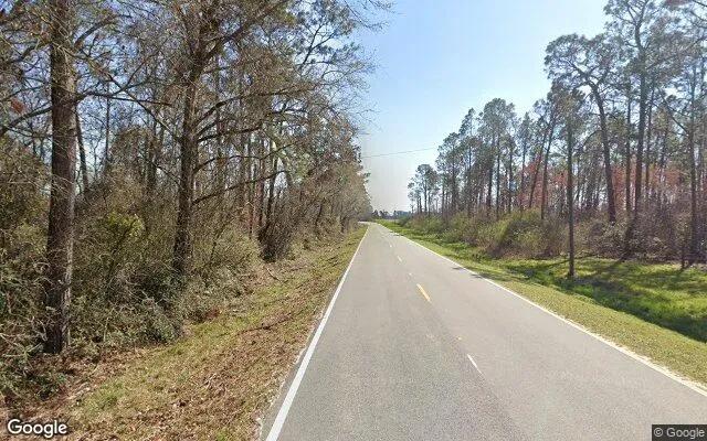 Decorative background for 3.53 Acres in Lakeland - Lanier County, GA image 5