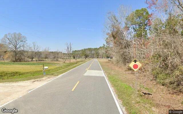 Decorative background for 3.53 Acres in Lakeland - Lanier County, GA image 6