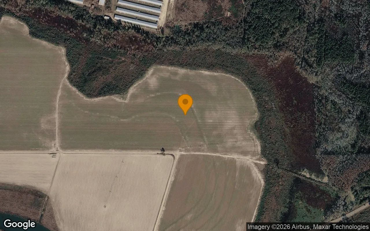 75.25 Acres in Rochelle - Wilcox County, GA in Wilcox County, Georgia