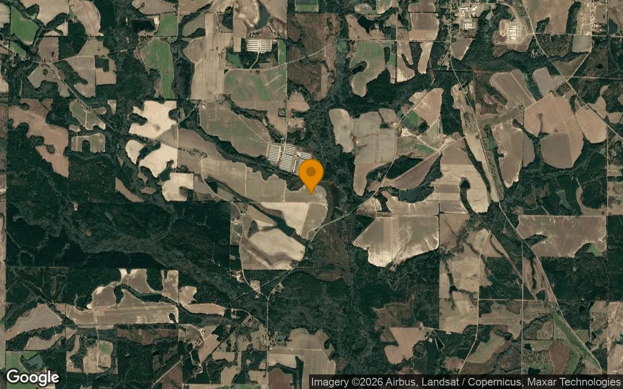 75.25 Acres in Rochelle - Wilcox County, GA in Wilcox County, Georgia