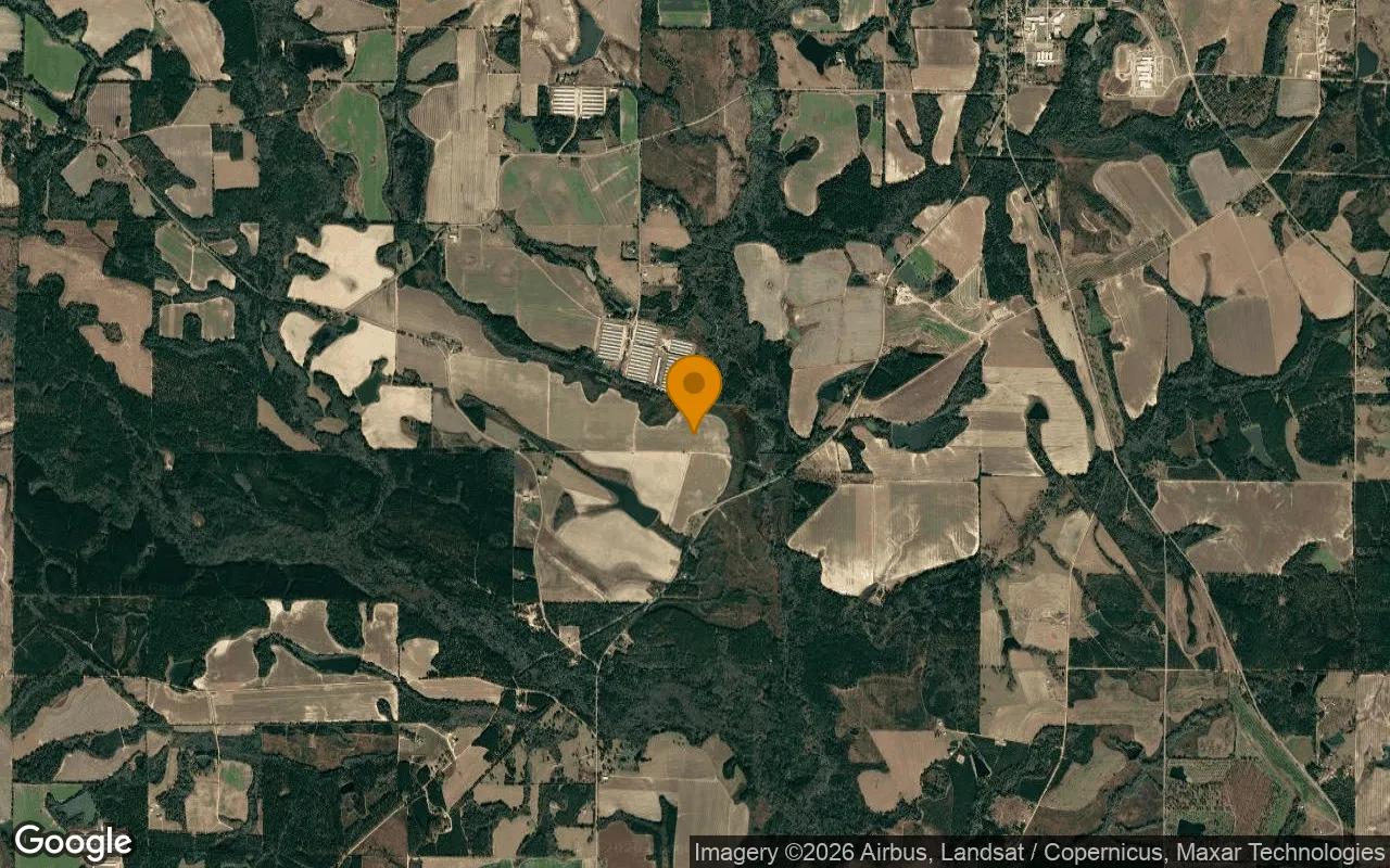 75.25 Acres in Rochelle - Wilcox County, GA - Image 3