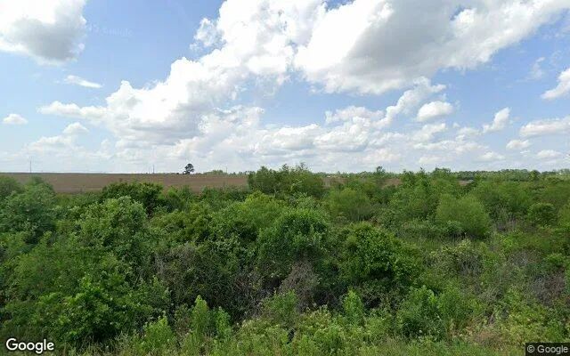 75.25 Acres in Rochelle - Wilcox County, GA in Wilcox County, Georgia