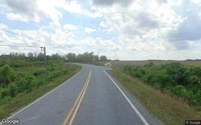Decorative background for 75.25 Acres in Rochelle - Wilcox County, GA image 5