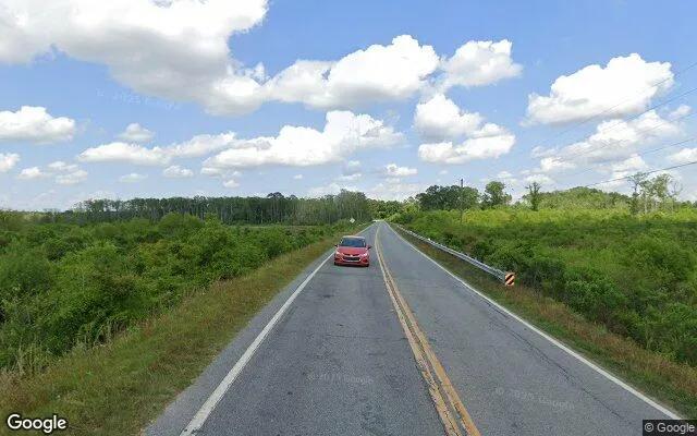 Decorative background for 75.25 Acres in Rochelle - Wilcox County, GA image 6