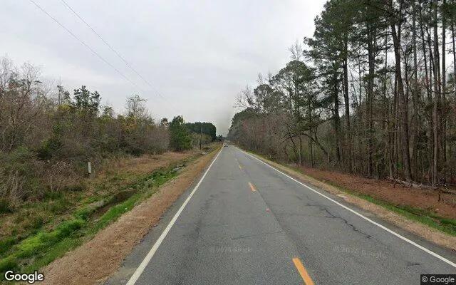 Decorative background for 1.5 Acres in Cobbtown - Tattnall County, GA image 5