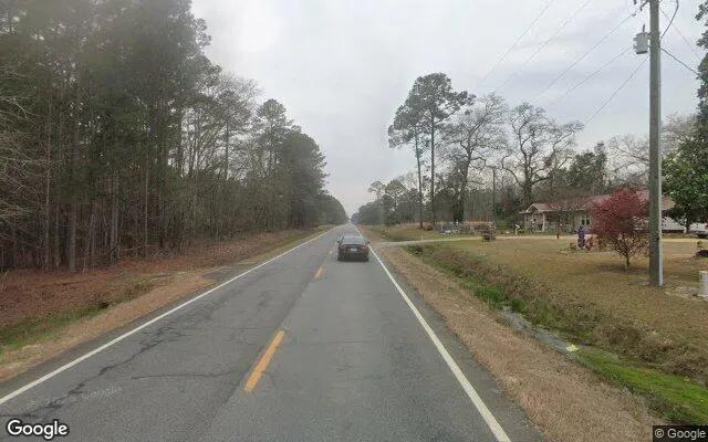 Decorative background for 1.5 Acres in Cobbtown - Tattnall County, GA image 6