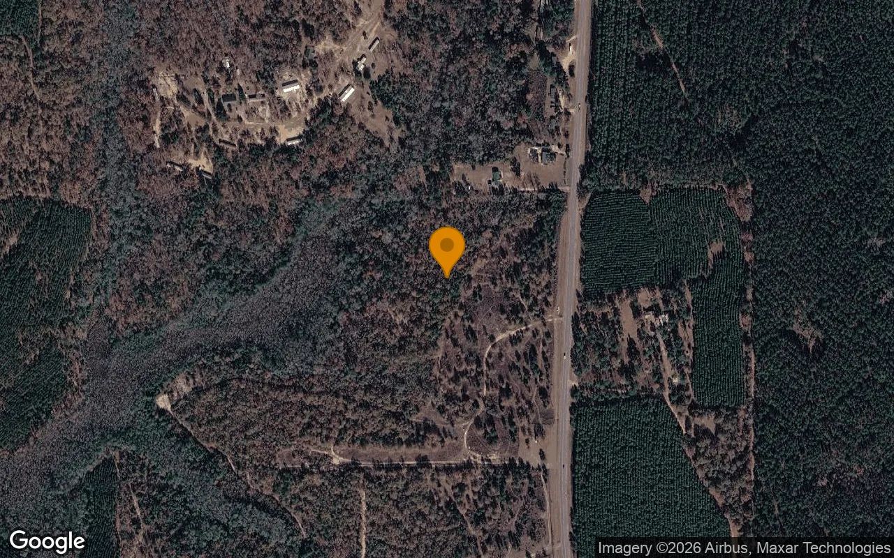 15.08 Acres in Buena Vista - Marion County, GA in Marion County, Georgia