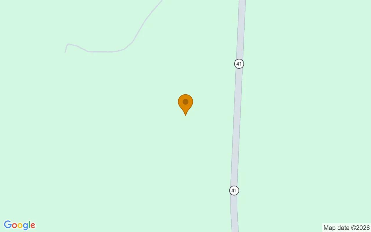 15.08 Acres in Buena Vista - Marion County, GA - Image 2