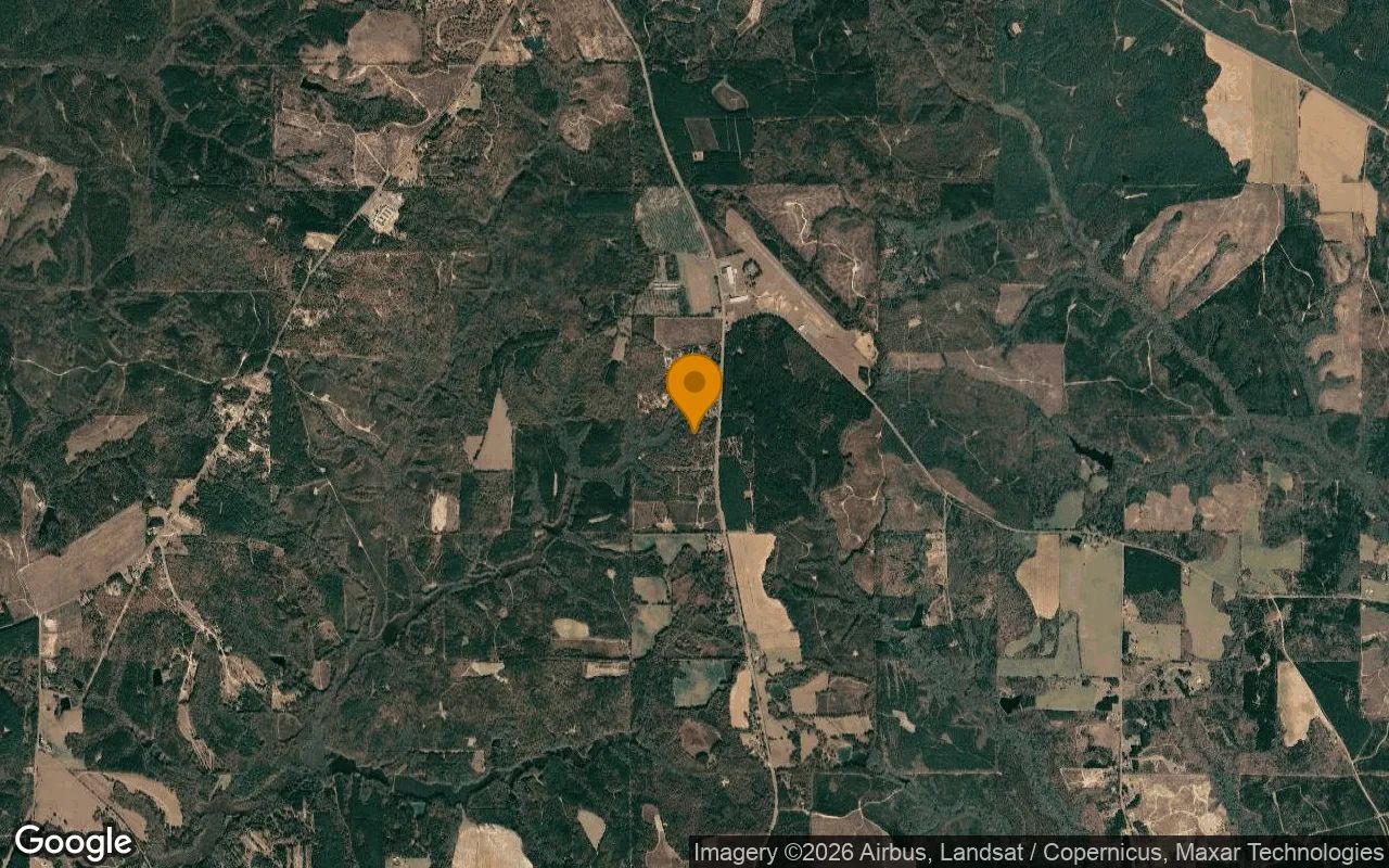 15.08 Acres in Buena Vista - Marion County, GA in Marion County, Georgia