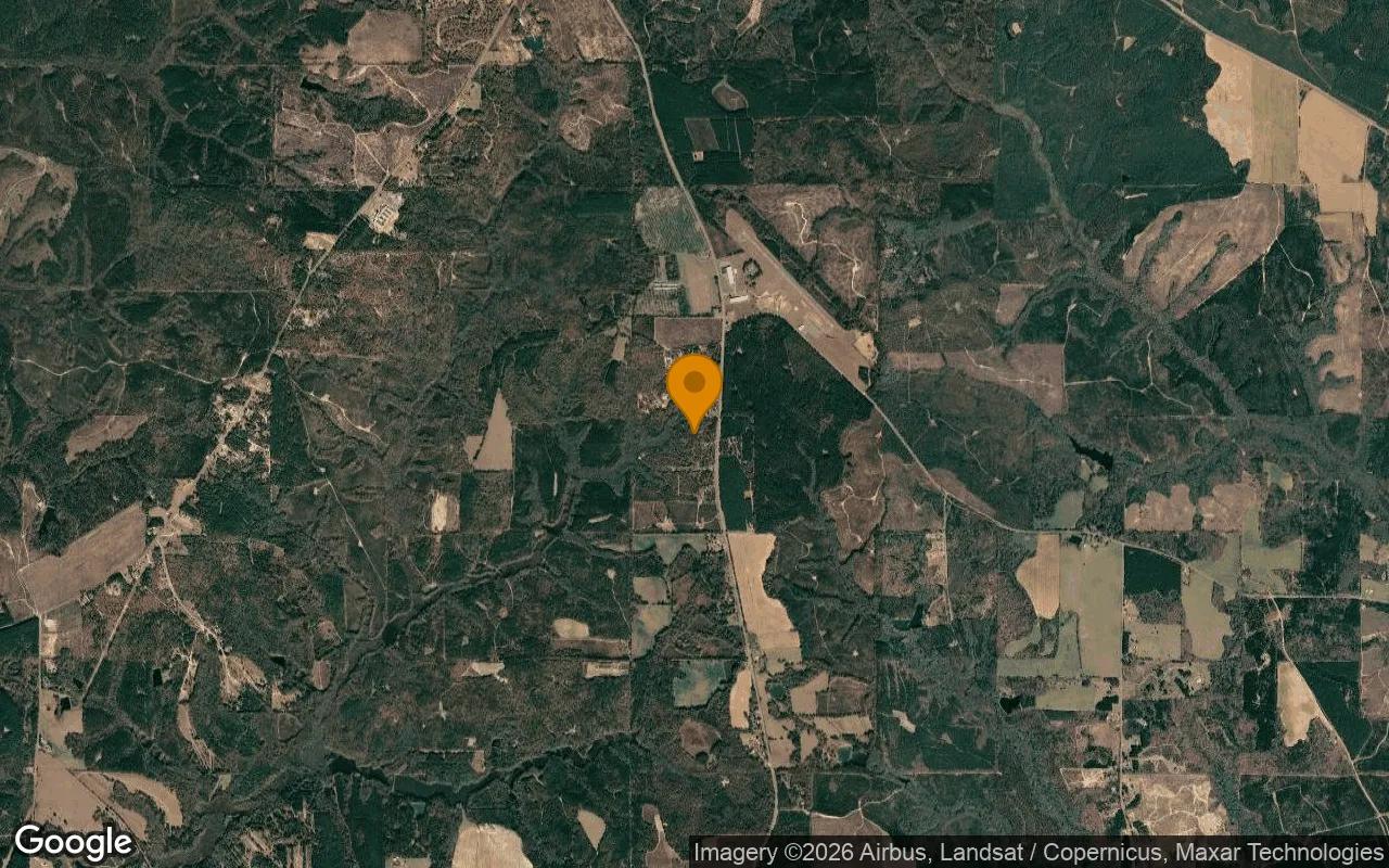 15.08 Acres in Buena Vista - Marion County, GA - Image 3