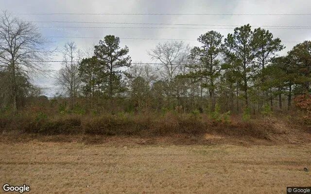 15.08 Acres in Buena Vista - Marion County, GA in Marion County, Georgia